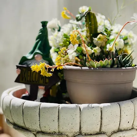 Paradise, Urban Oasis By -toprentalsbarcelona- Vakantiehuis